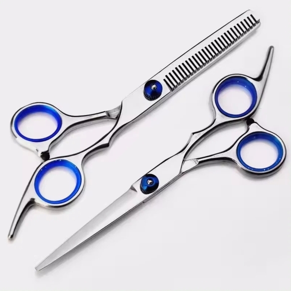 Other - Professional Hairdressing Scissors Set